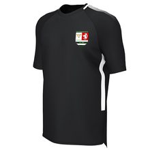 Load image into Gallery viewer, Rotherfield FC Pro Training Tee
