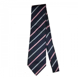 SusMart Silk Stripe Tie