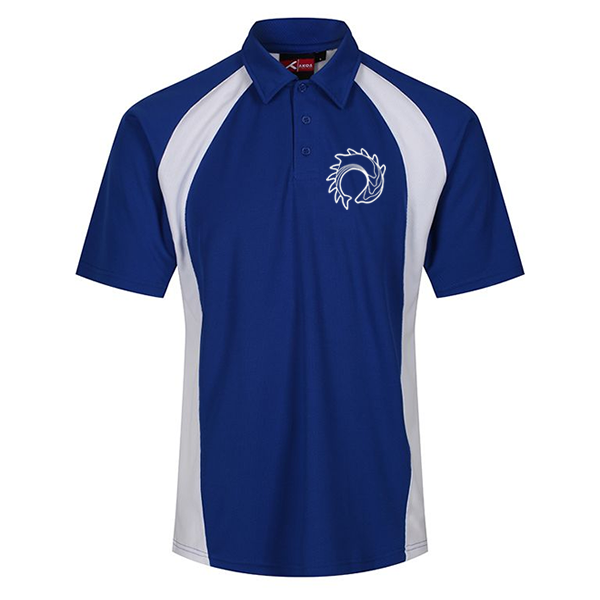 Varndean PE Polo
