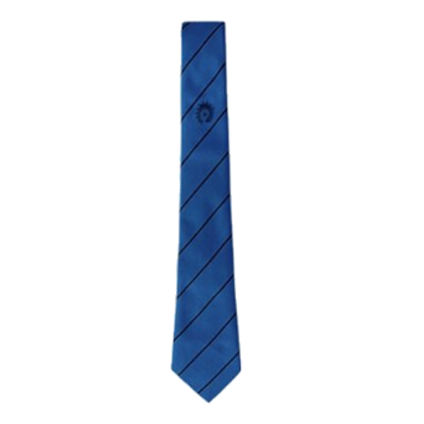 Varndean Ties