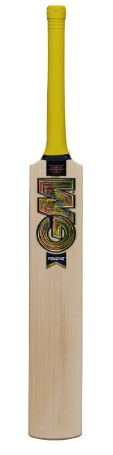 Psyche Delta DXM 606 TTNOW Bat