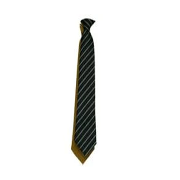 Chailey ECO Tie Yr 7-9