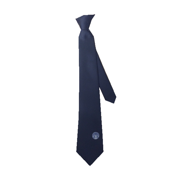 Chailey ECO Tie Yr 10-11