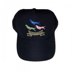 SusMart B'Ball Cap