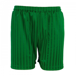 Shadow Stripe PE Short