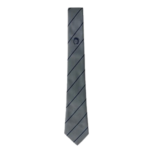 Varndean Ties