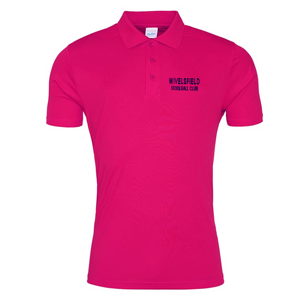 Wivelsfield Stoolball Polo